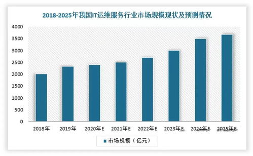 2024年中國(guó)IT服務(wù)行業(yè)研究報(bào)告 軟件外包服務(wù)的演進(jìn)、挑戰(zhàn)與機(jī)遇