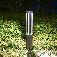 草坪花園中的花瓣采集與草坪燈的藝術(shù)融合